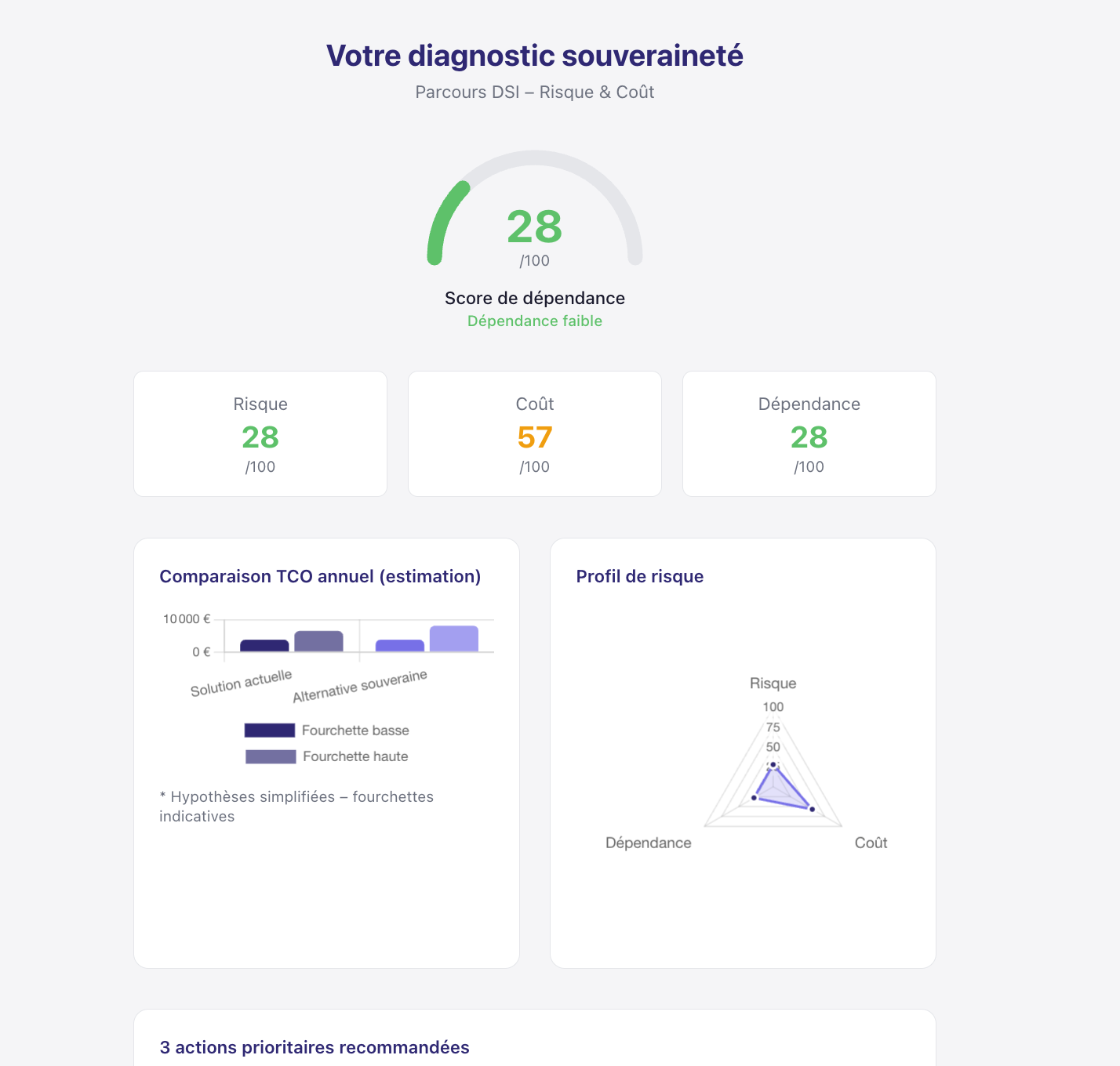 Exemple de rapport DSI